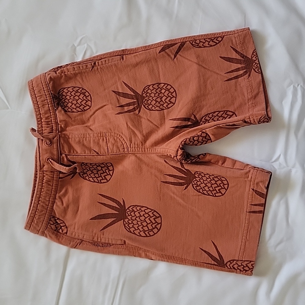๐3BD TEA COLLECTION/Nike Jordan. Bundle of 3 shorts. Size 5T. - Picture 12 of 16